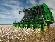 Cotton Pickers